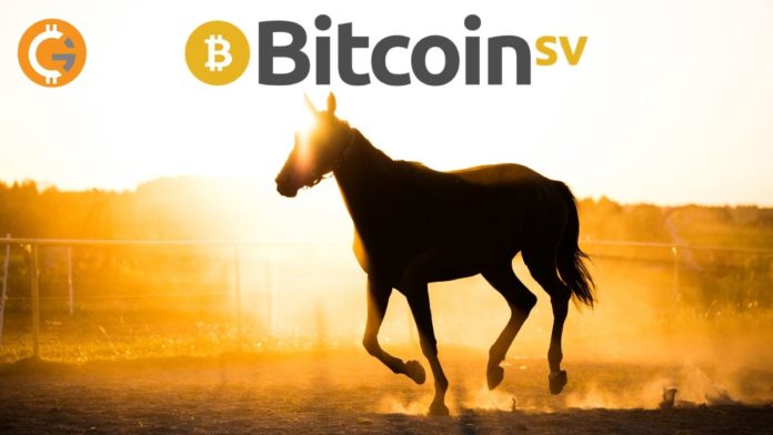 Bitcoin SV’s Thunders Past $350, Unprecedented 100% Surge