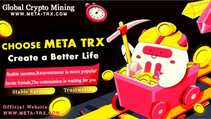 Did you know you can now earn a daily stable income in Meta TRX